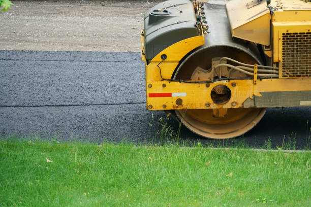 Best Driveway Paving Contractor  in Tenaha, TX