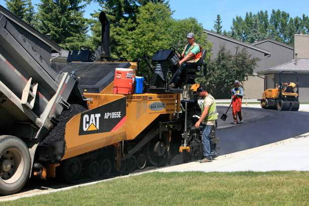 Best Driveway Paving Contractor  in Tenaha, TX